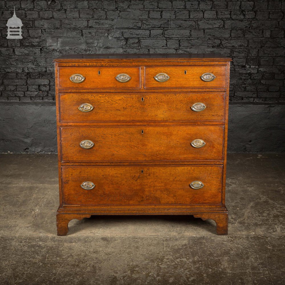 George III Oak Chest of Drawers with Brass Sphinx Drawer Pull Handles