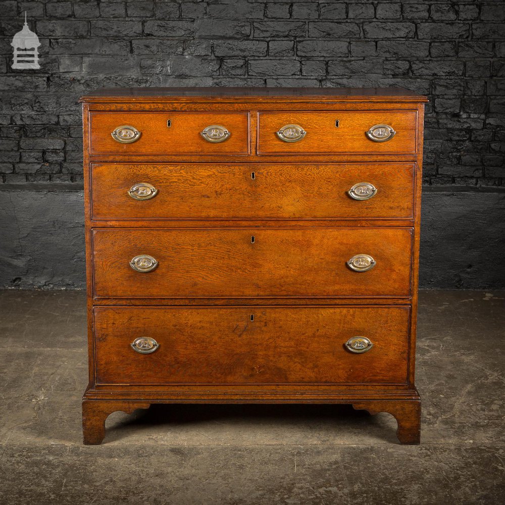 George III Oak Chest of Drawers with Brass Sphinx Drawer Pull Handles