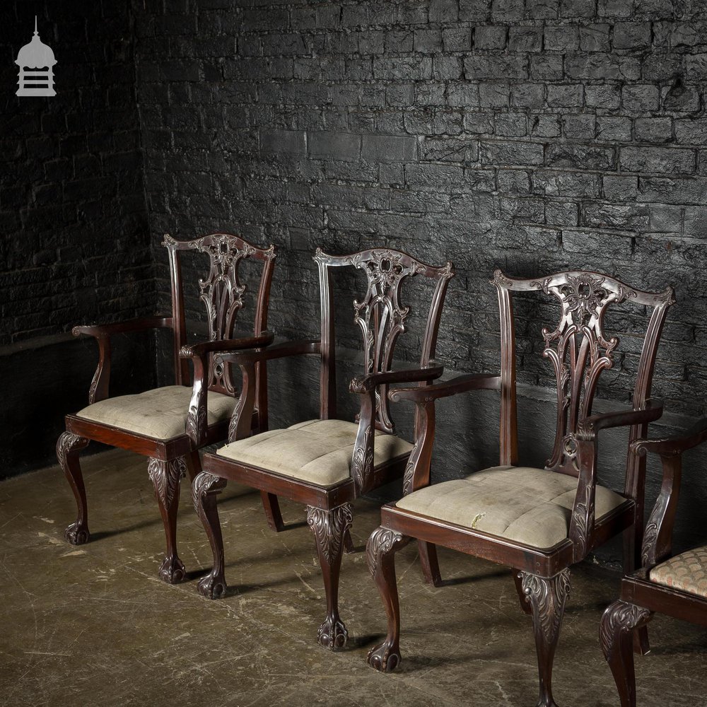 Set of Six Ornate Chippendale Revival Dining Chairs Armchairs Circa 1900