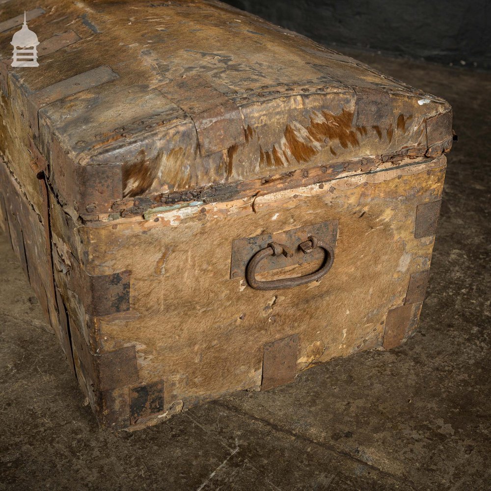 19th C Wooden Trunk covered in Hide with Metal Strapping, Studs and E.V Monogram on Lid