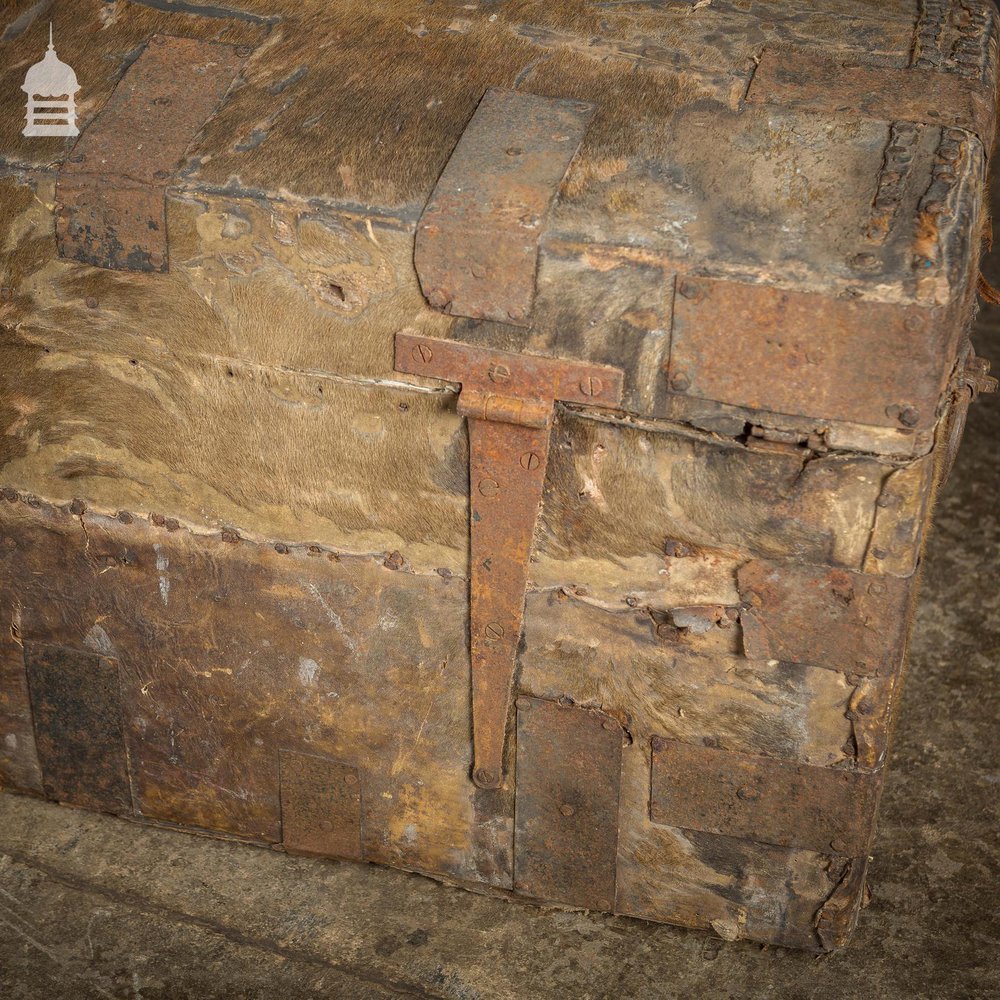 19th C Wooden Trunk covered in Hide with Metal Strapping, Studs and E.V Monogram on Lid