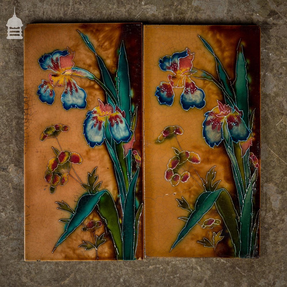 Pair of Floral Tube Lined 12x6 Tiles with Colourful Iris Design