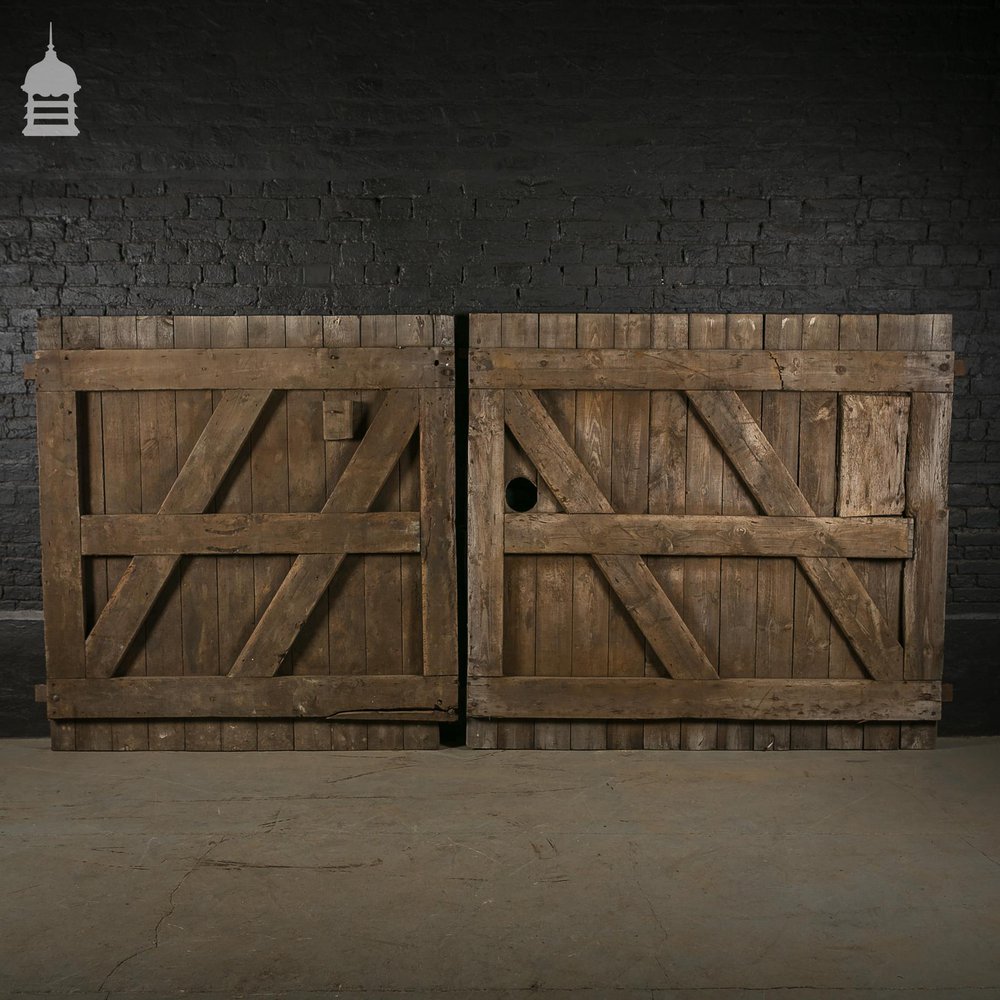 Large Pair of Ledged and Braced Barn Doors with Double Latch Mechanism