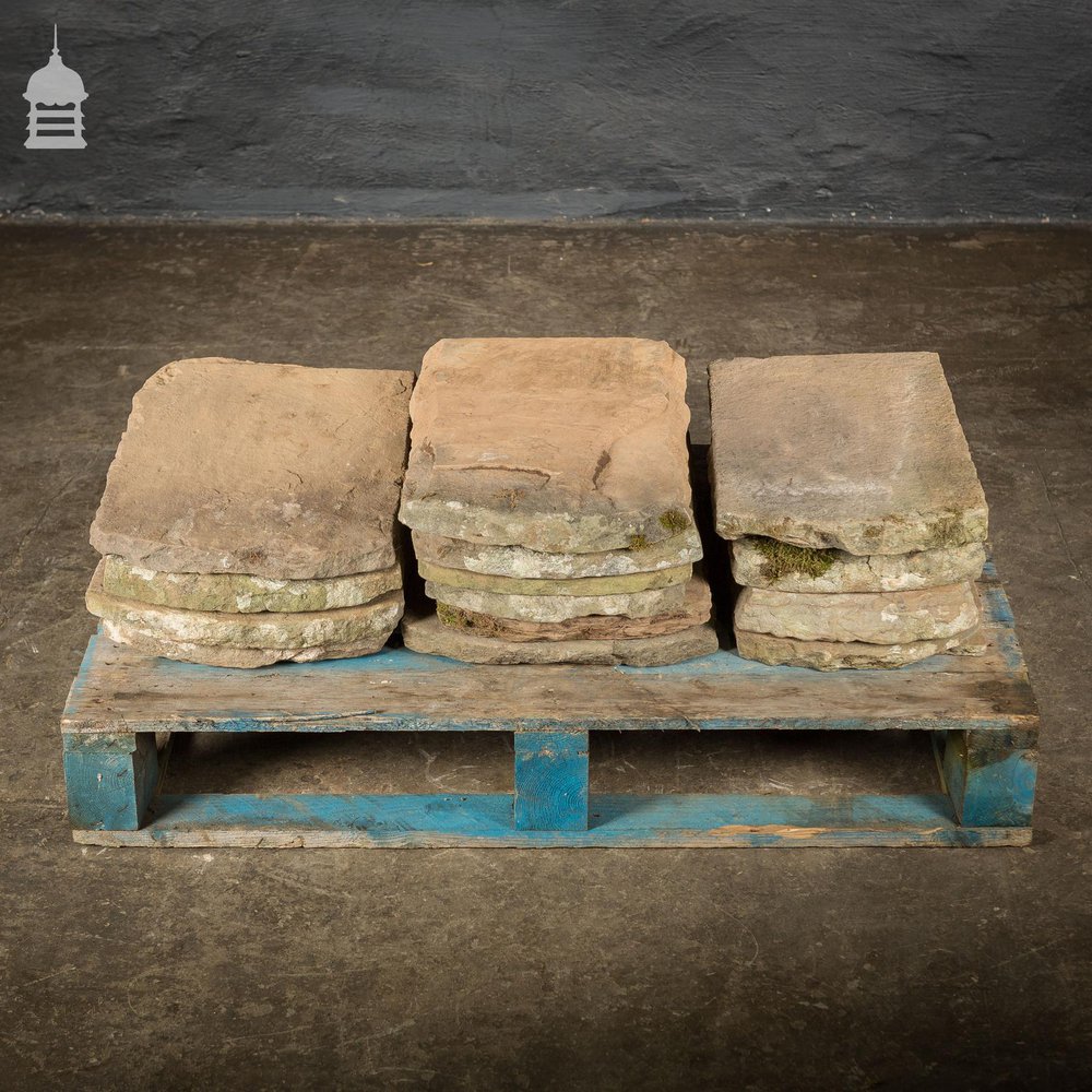 Set of 14 Reclaimed Yorkstone Roof Tiles