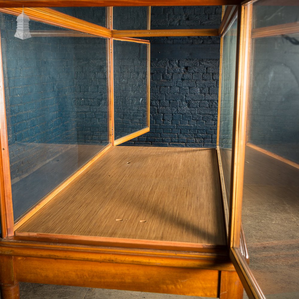 Large Victorian Glazed Teak Museum Display Cabinet