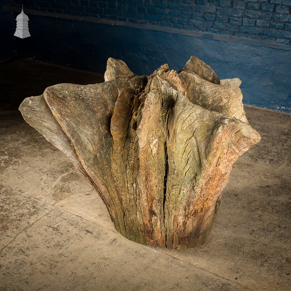 Ancient Sculptural Tree Stump Root Ball [No. 2]