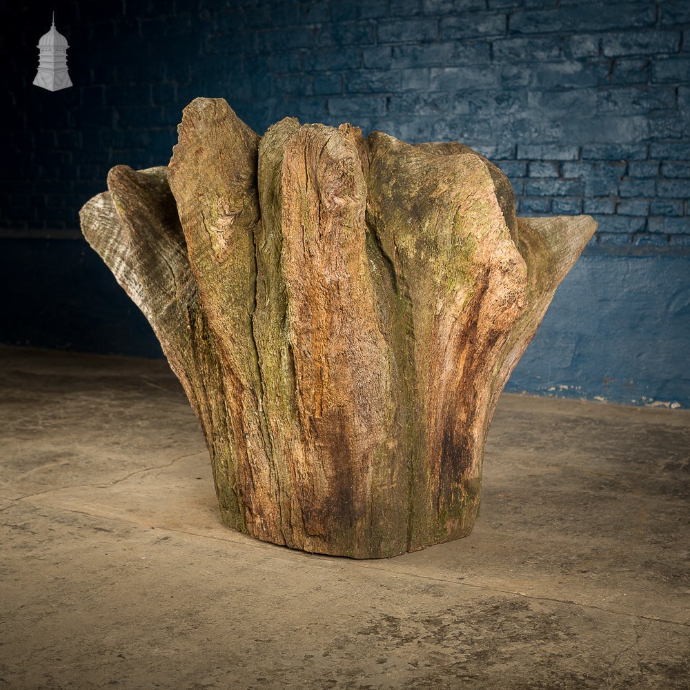 Ancient Sculptural Tree Stump Root Ball [No. 2]