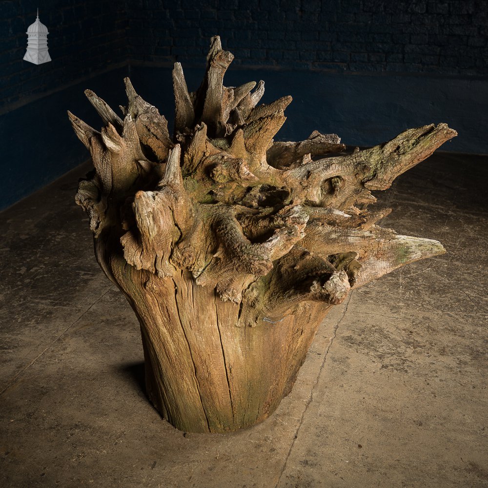 Ancient Sculptural Tree Stump Root Ball [No. 3]