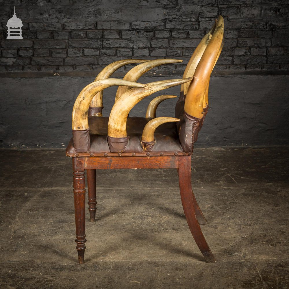 19th C Longhorn Steer Throne Chair with Turned Oak Legs