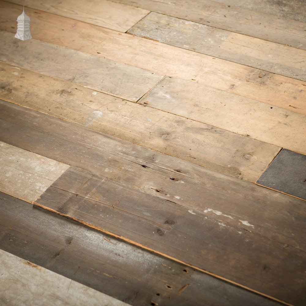 NR46521: Batch of 22 Square Metres of 6.5 Inch Wide 19th C Pine Floorboards