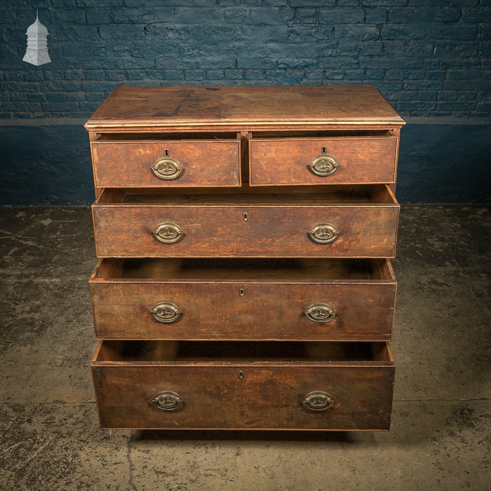 Chest of Drawers, George III, Oak 2 over 3 Drawer with Brass Sphinx Pull Handles