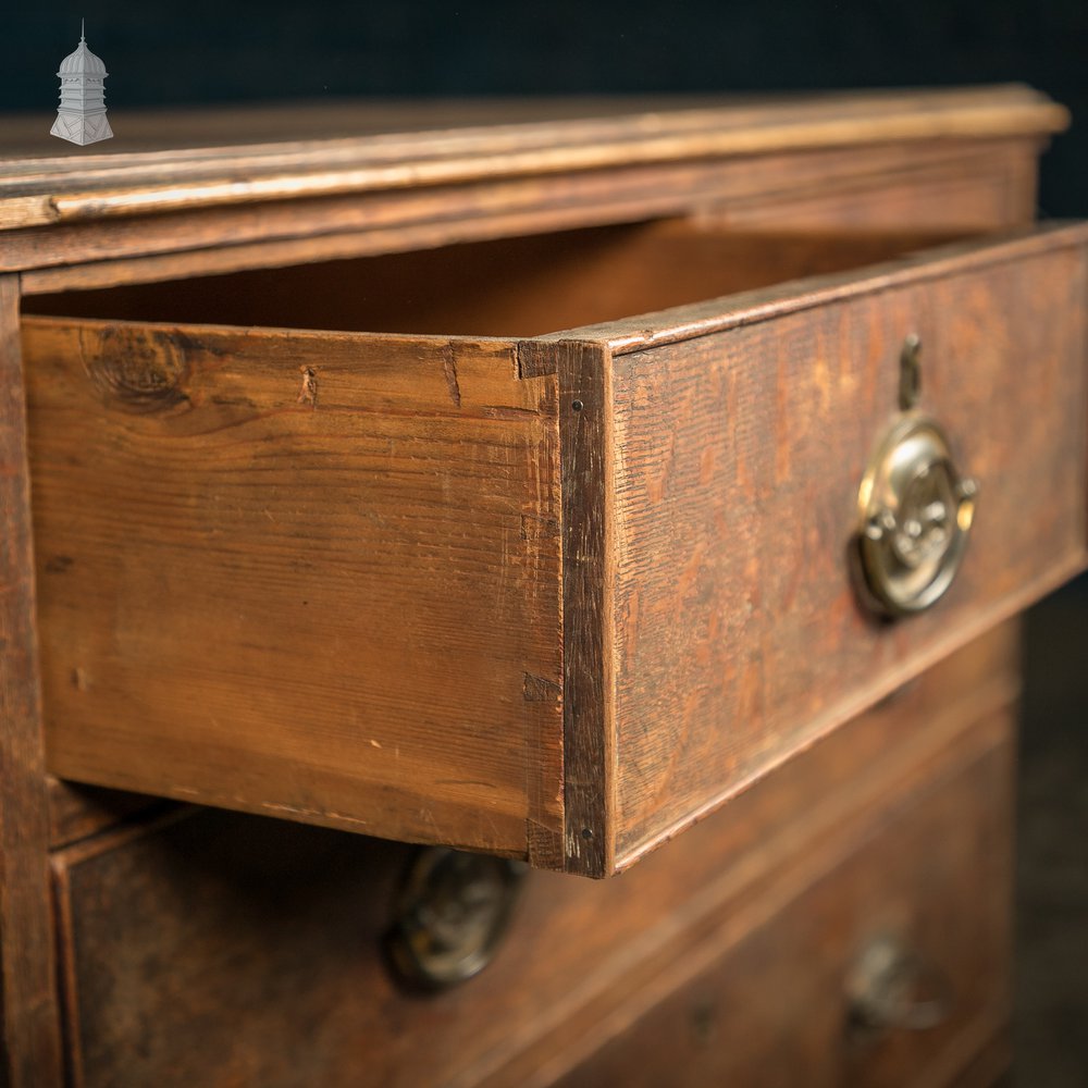 Chest of Drawers, George III, Oak 2 over 3 Drawer with Brass Sphinx Pull Handles