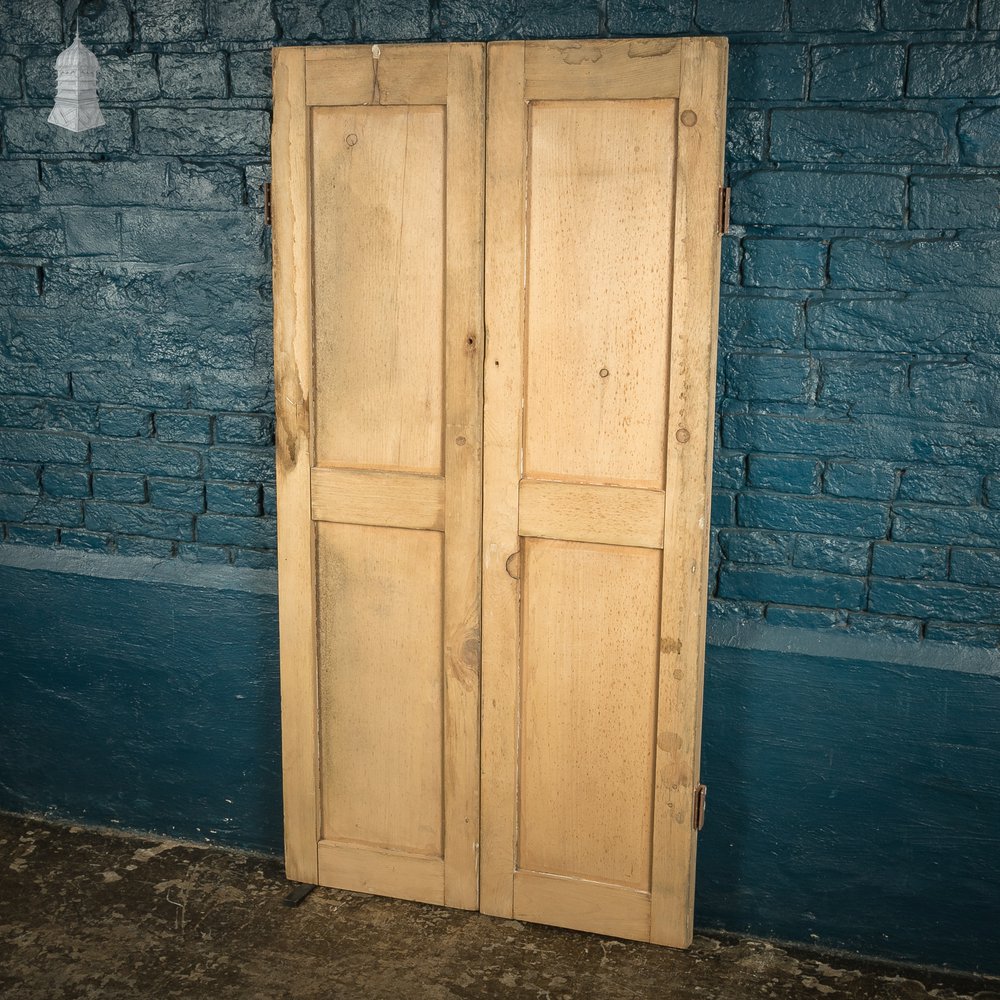 Pair of Small 19th C Stripped Pine Moulded Panel Cupboard Doors