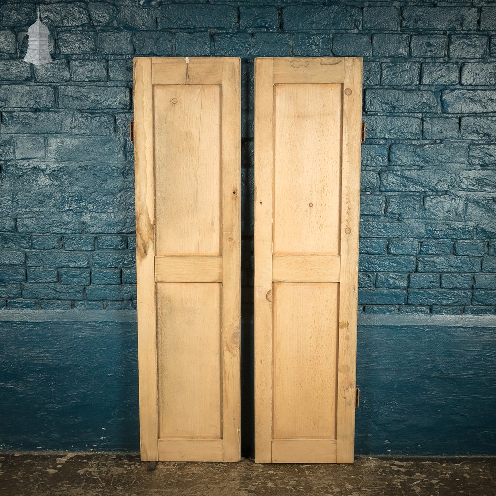 Pair of Small 19th C Stripped Pine Moulded Panel Cupboard Doors
