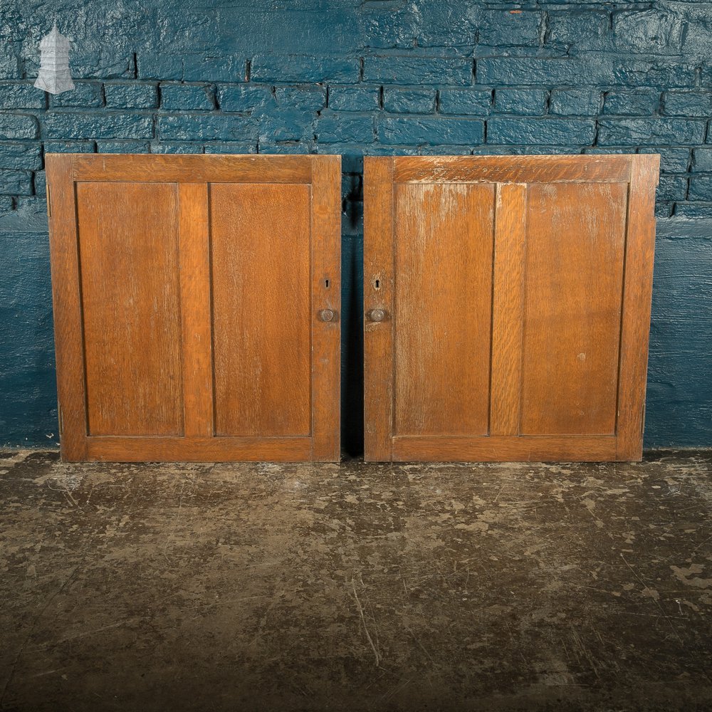 Pair of Small Oak Victorian Cupboard Doors