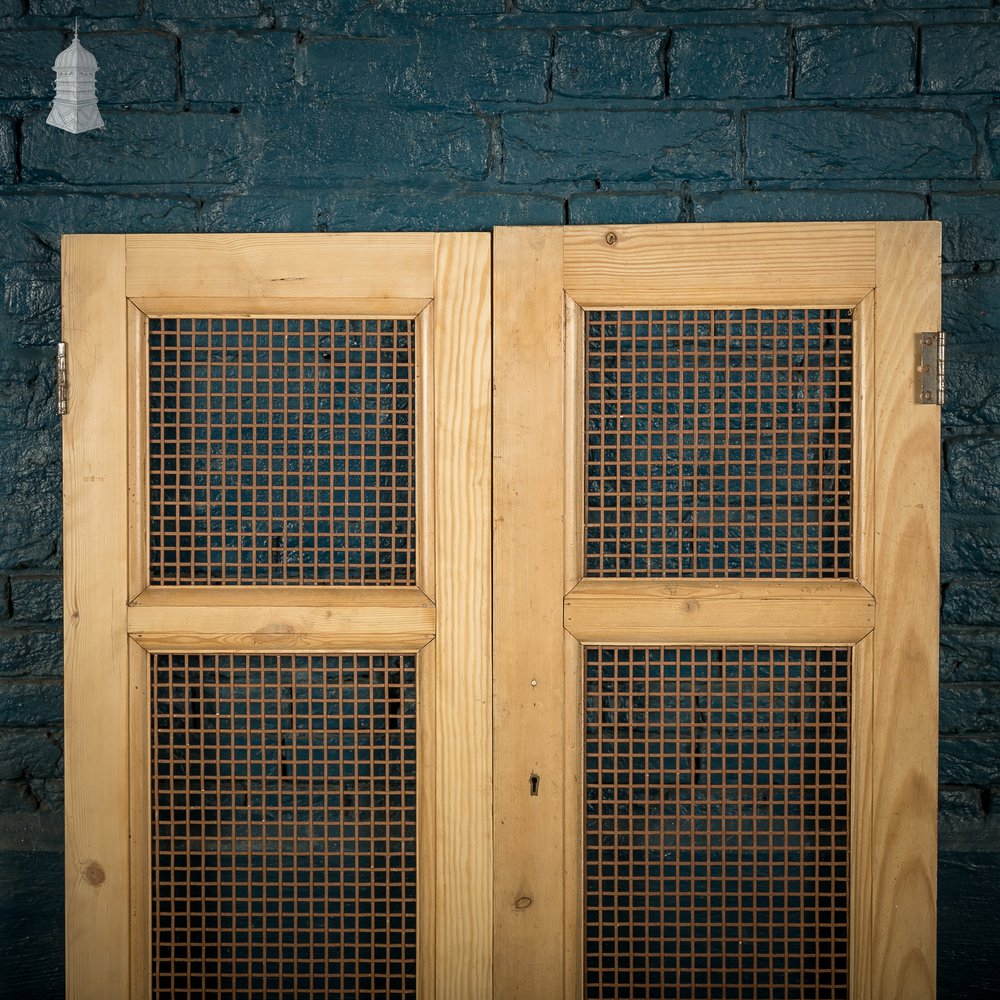 Mesh Cupboard Doors, Pair of 19th C Pine and Metal 2 Panel Doors