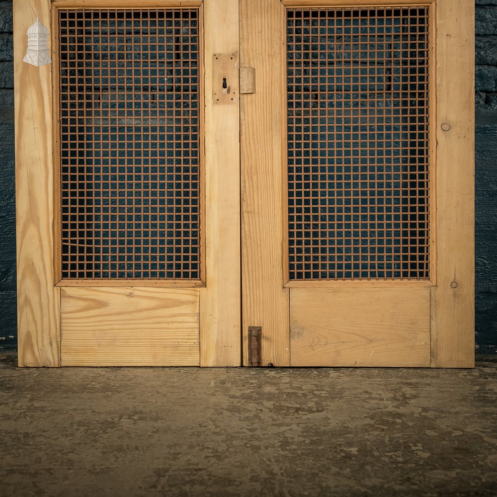 Mesh Cupboard Doors, Pair of 19th C Pine and Metal 2 Panel Doors