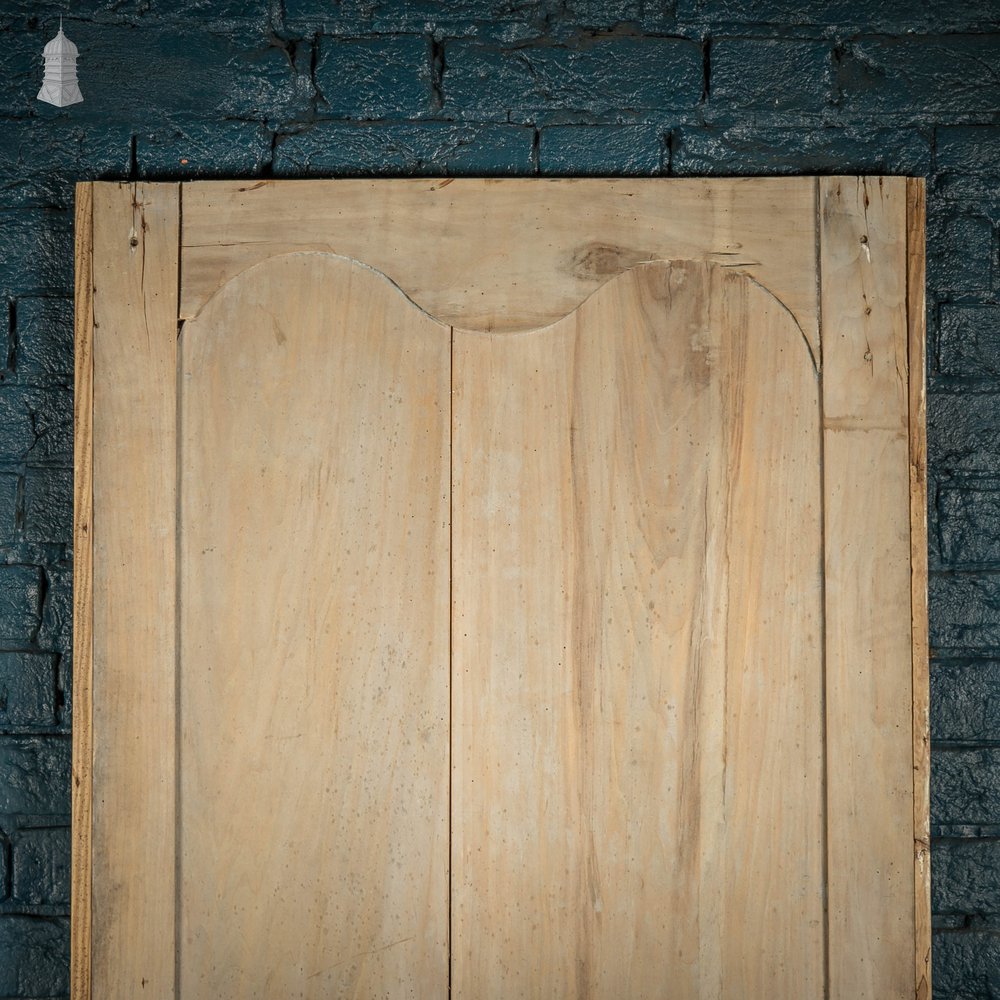 Pine Panelled Door, 19th C French, 2 Moulded Panels