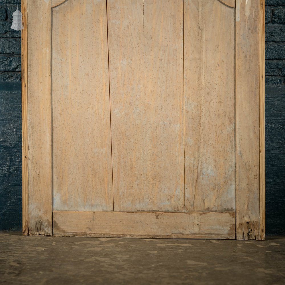 Pine Panelled Door, 19th C French, 2 Moulded Panels