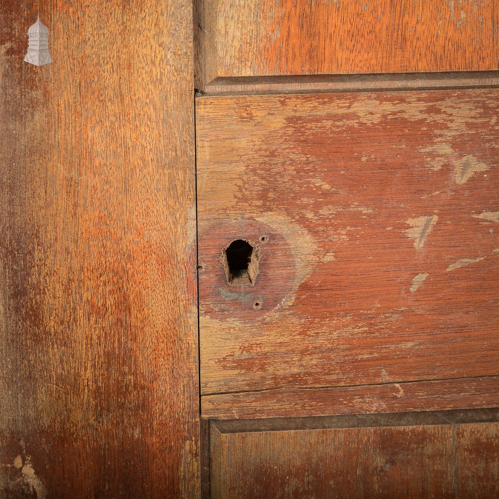 Hardwood Panel Door, Wide, 20th C Mahogany