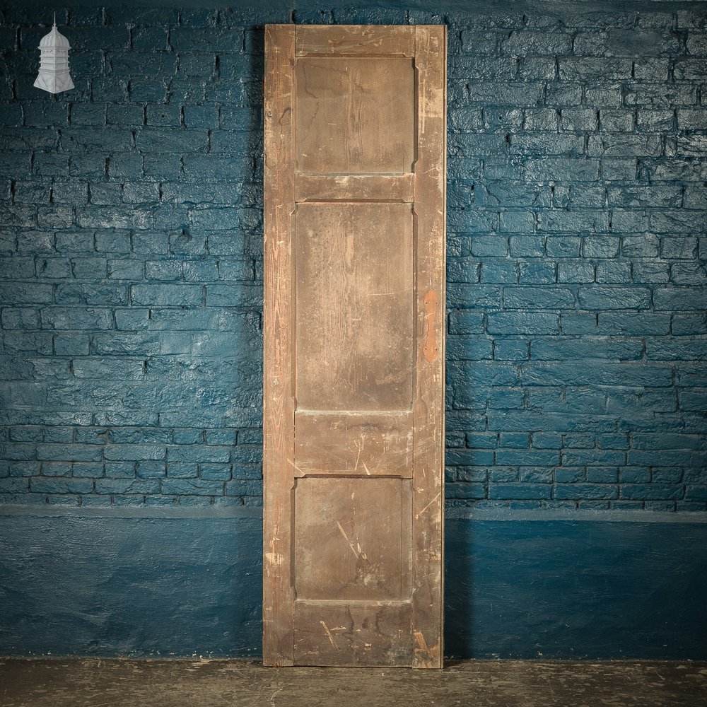 Narrow Paneled Door, 19th C Pine with Stop Chamfer Detail