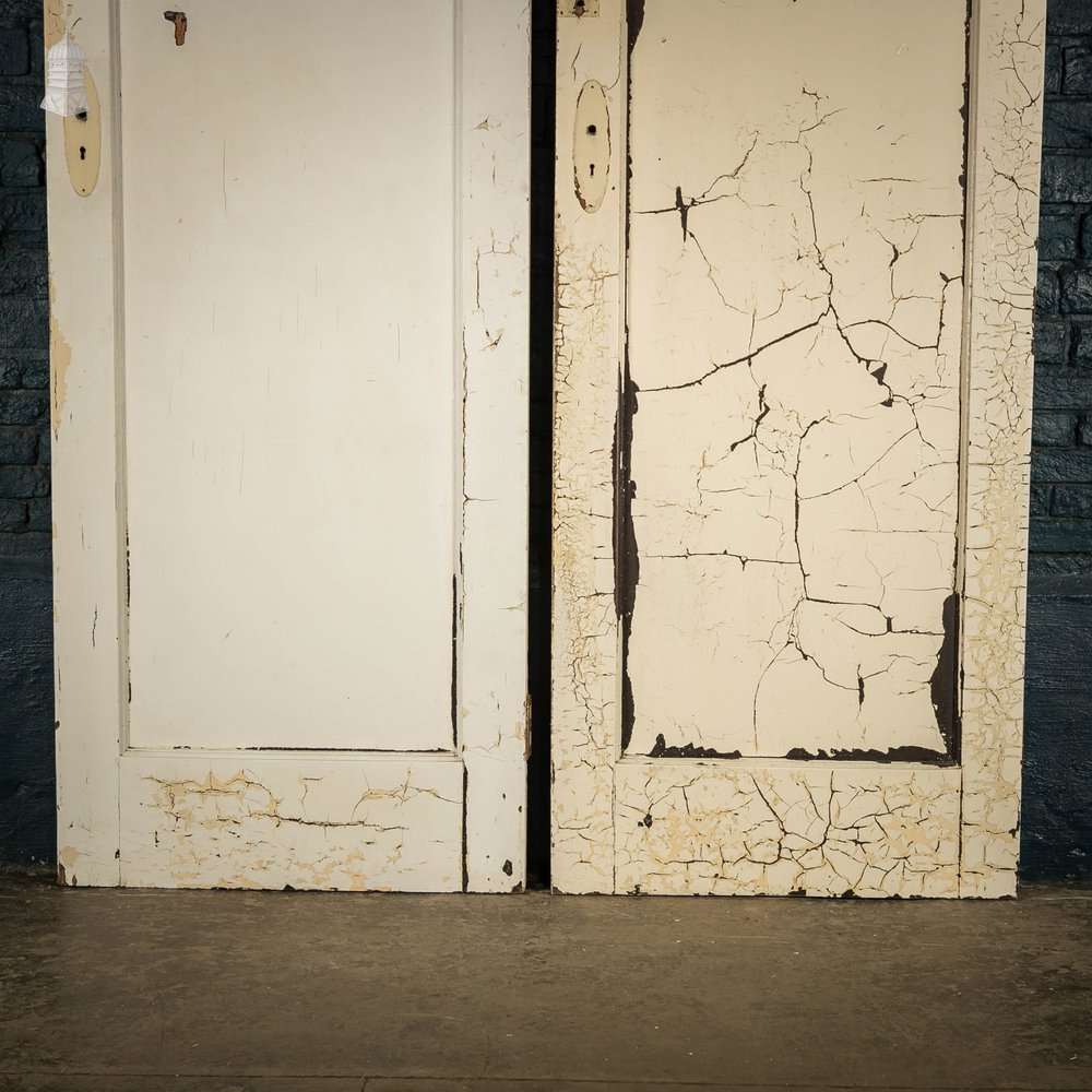 Pine Panelled Doors, Pair of White Painted Doors