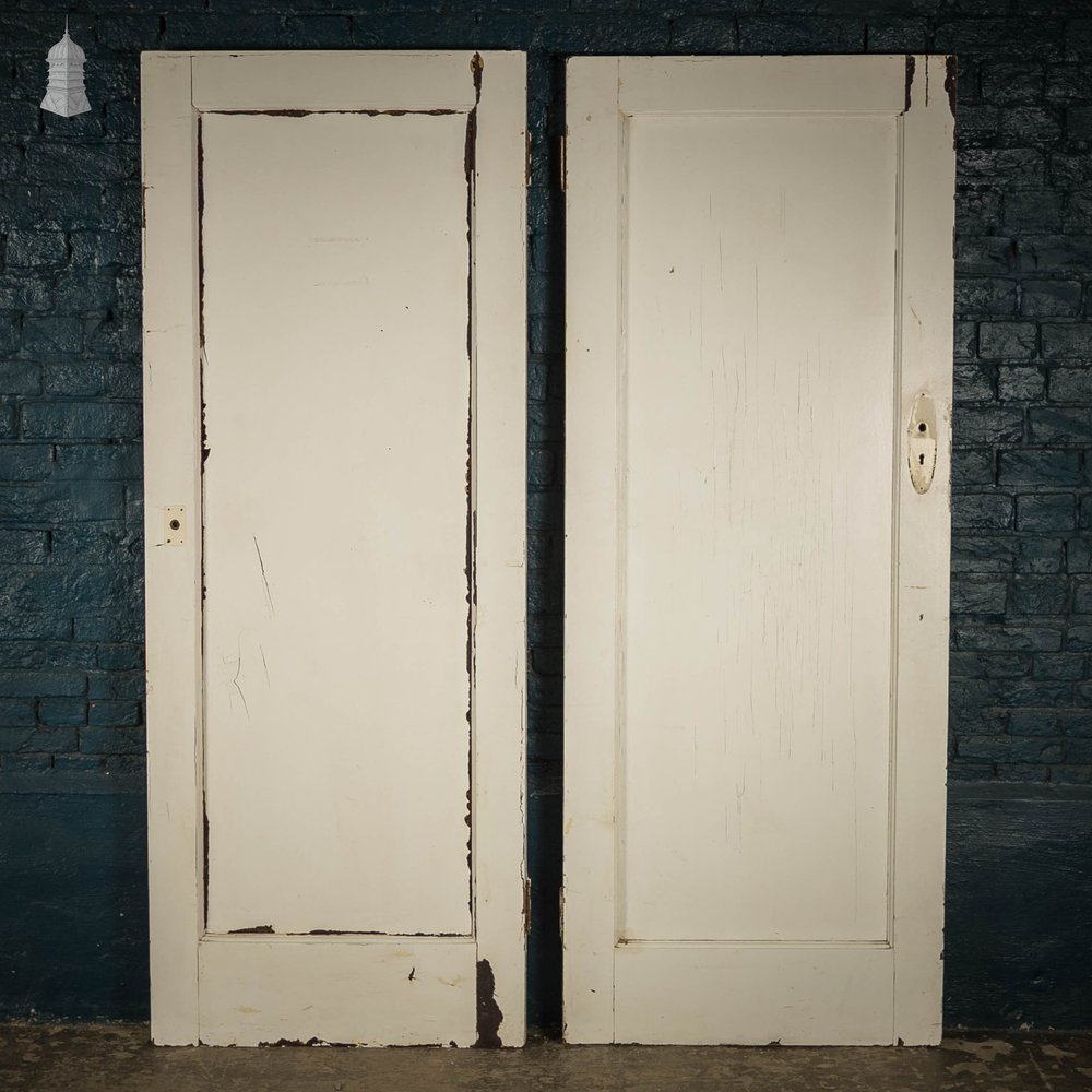Pine Panelled Doors, Pair of White Painted Doors