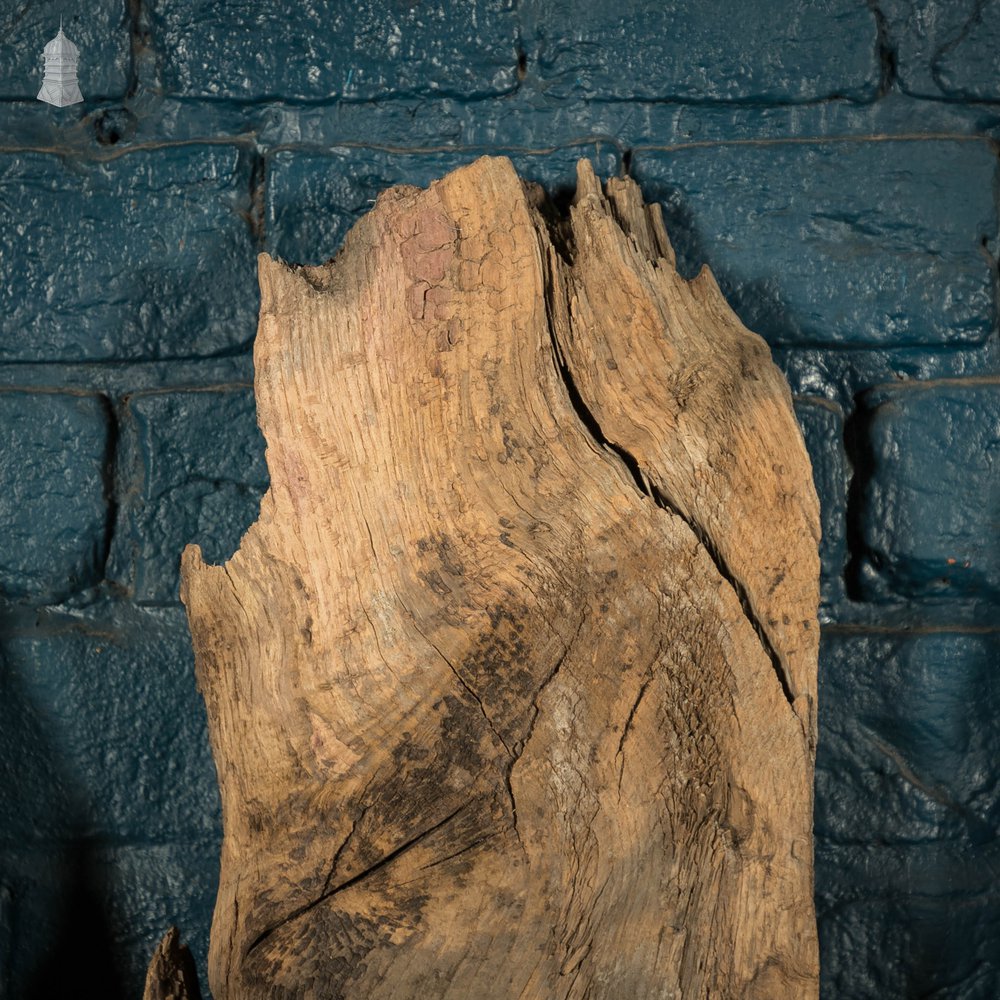 Distressed Oak Pilings, Weathered Natural Finish Batch of 39 – 11 Square Metres
