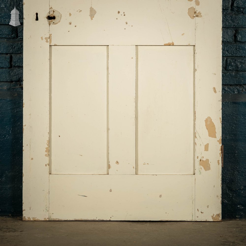Pine Paneled Door, White Painted