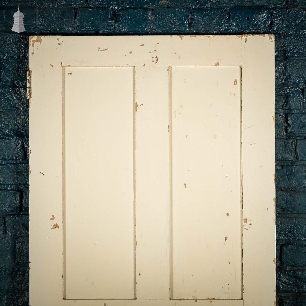 Pine Paneled Door, White Painted