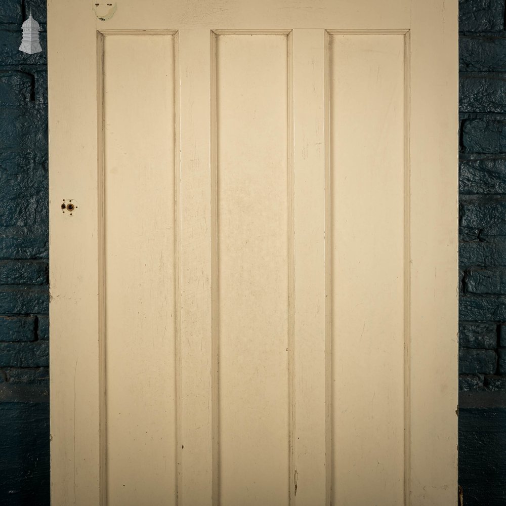 Pine Panelled Door, Moulded 6 Panel, White Painted