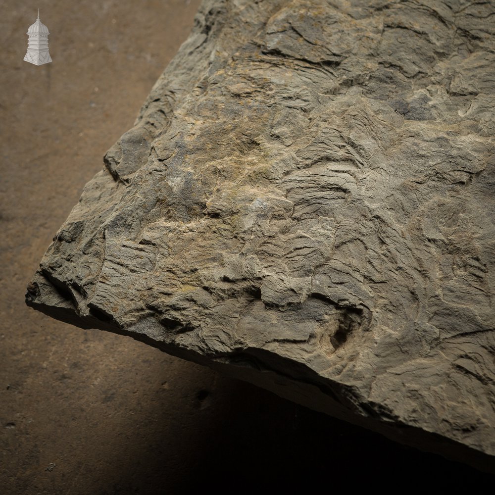 Large Riven Flagstone [No. 2]