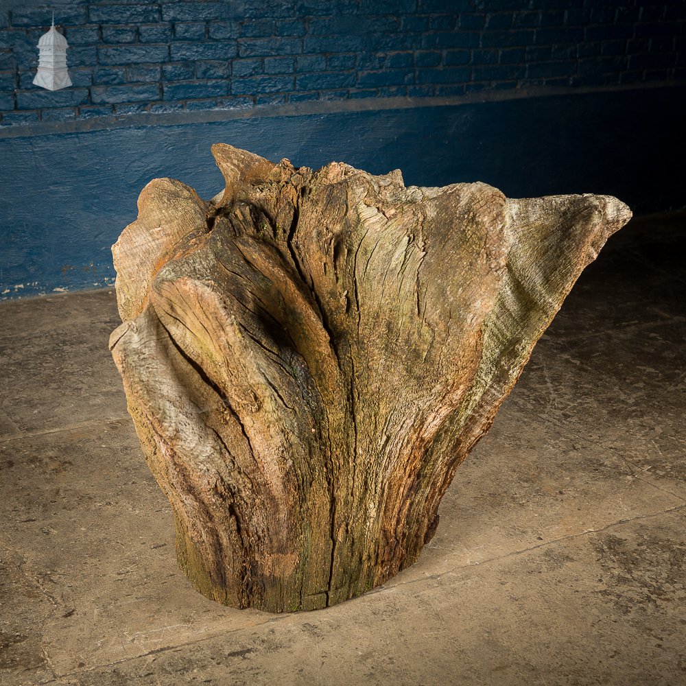 Ancient Sculptural Tree Stump Root Ball [No. 2]