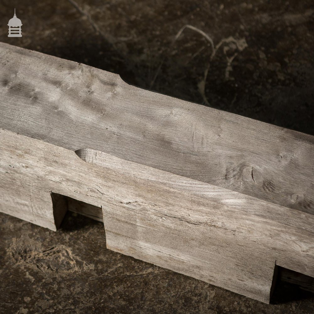 NR22121: 18th C Elm Beam Cut in Half