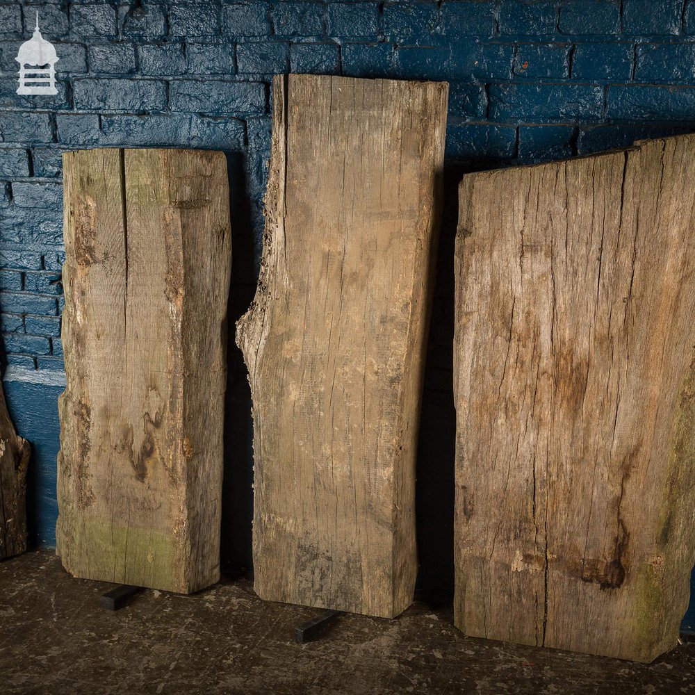 NR43221: Batch of 5 Thick Seasoned Oak Slabs