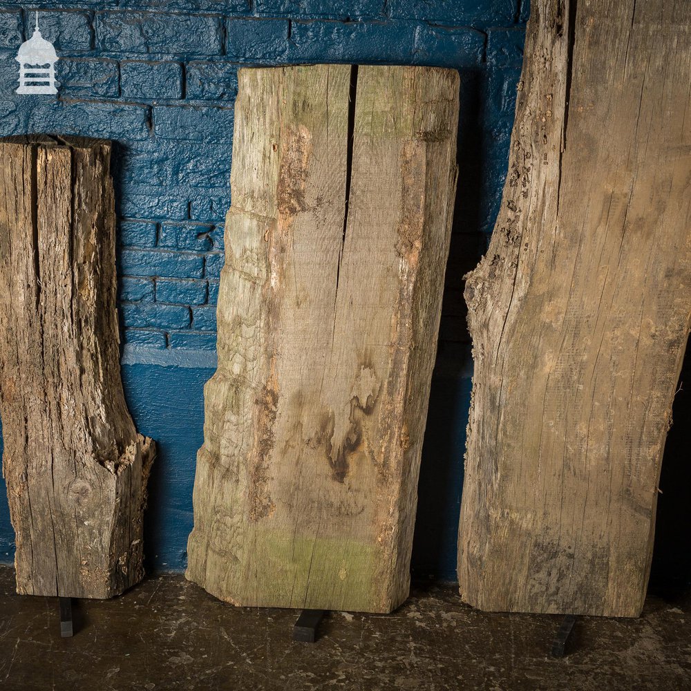 NR43221: Batch of 5 Thick Seasoned Oak Slabs