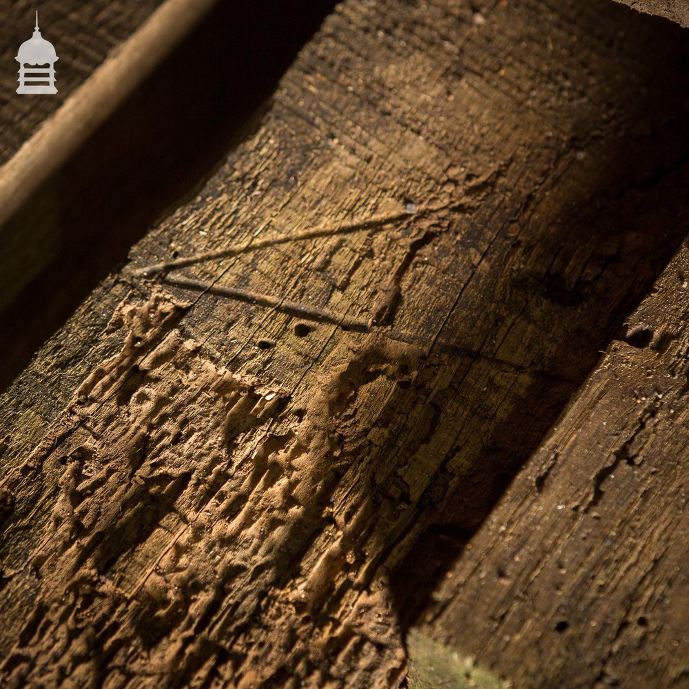 NR44121: Batch of Original 17th C Oak Ceiling Joists