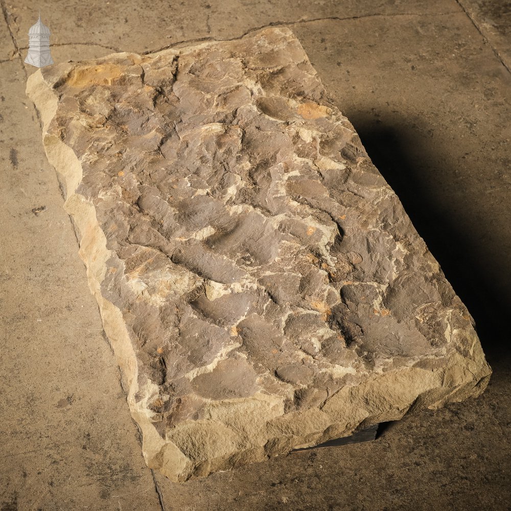 Weathered Riven Flagstone 88cm x 51cm