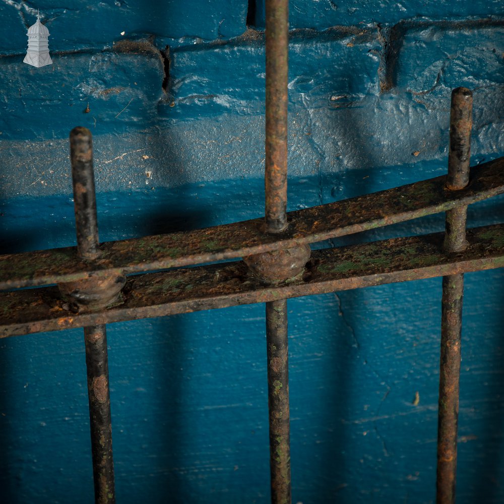 Scrollwork Garden Gate, 19th C Wrought Iron Gate