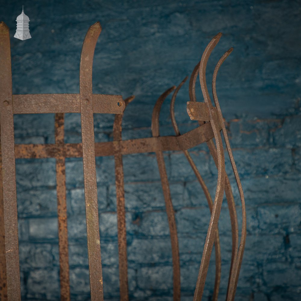 Tree Guard, Wrought Iron