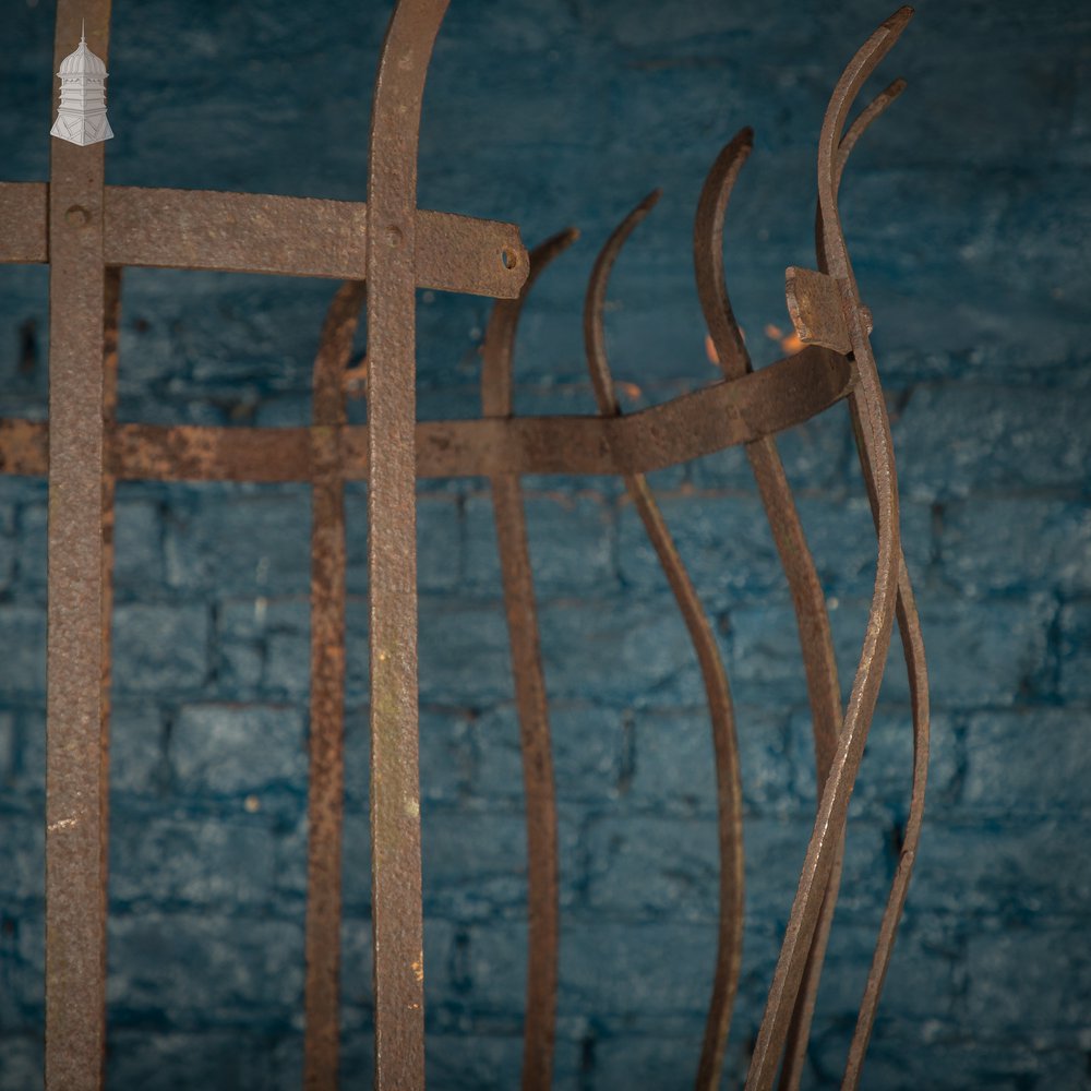 Tree Guard, Wrought Iron