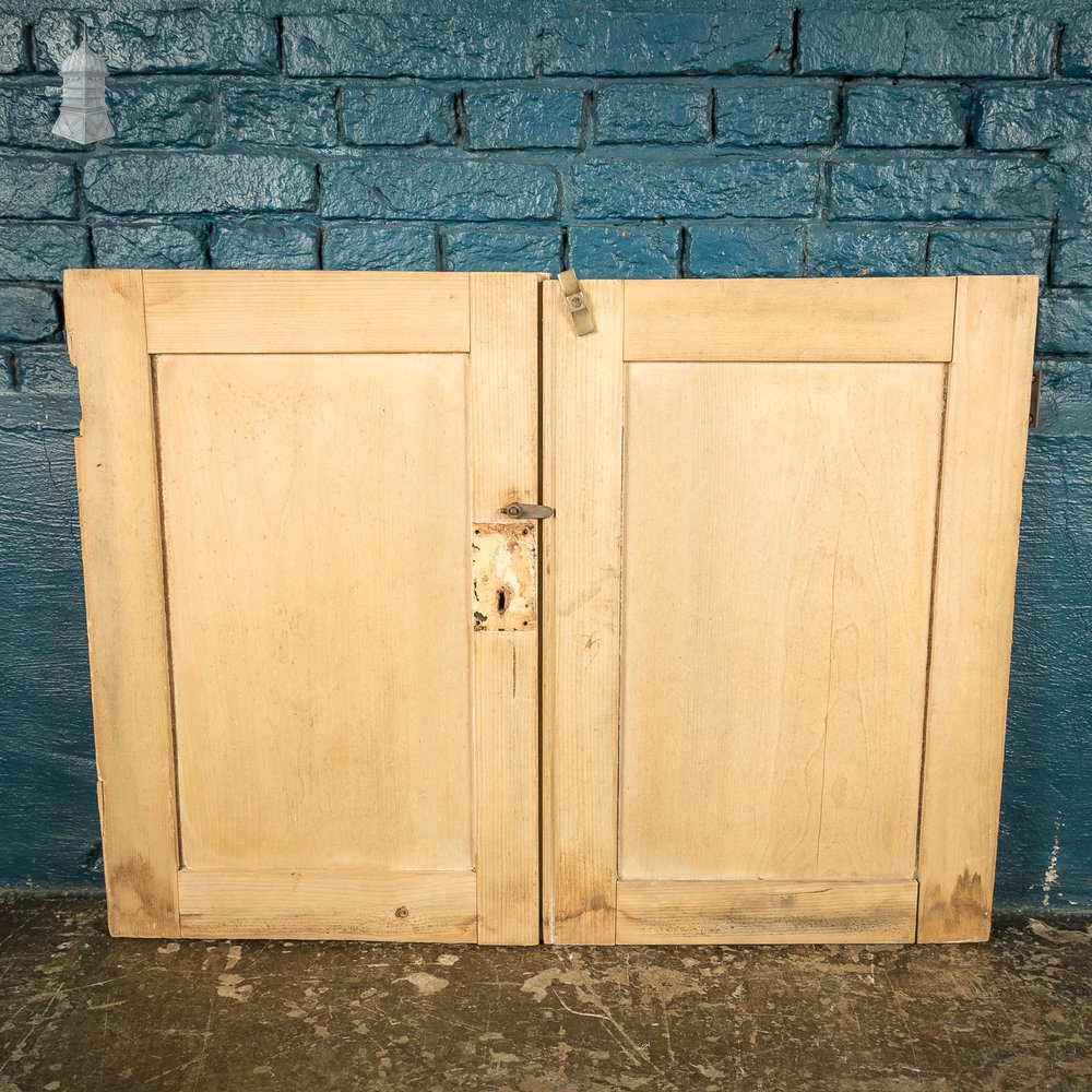 Pair of Small 19th C Stripped Pine Cupboard Doors with Moulded Panels & Beaded Hinge Rails