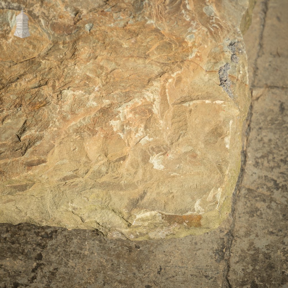 Large Riven Flagstone 1.3M x 96cm