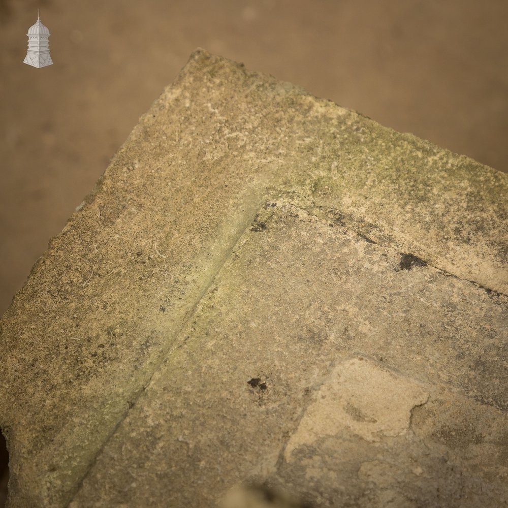 Once-weathered Stone Coping - A Run of 17 Metres