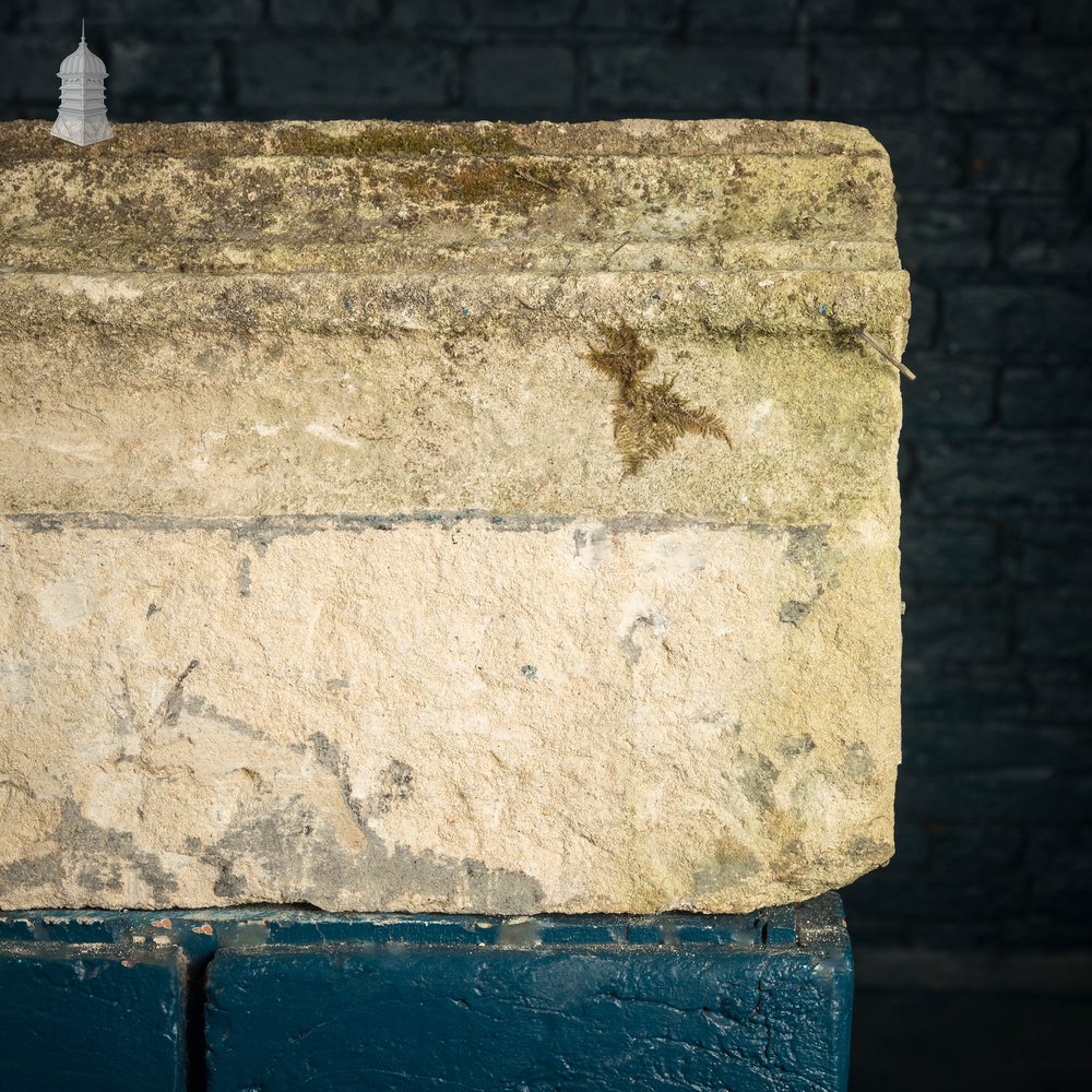 Once-weathered Stone Coping - A Run of 17 Metres