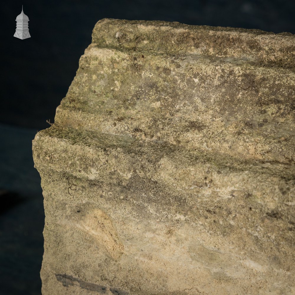 Once-weathered Stone Coping - A Run of 17 Metres