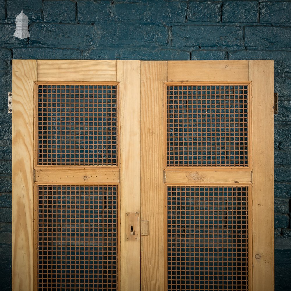 Mesh Cupboard Doors, Pair of 19th C Pine and Metal 2 Panel Doors