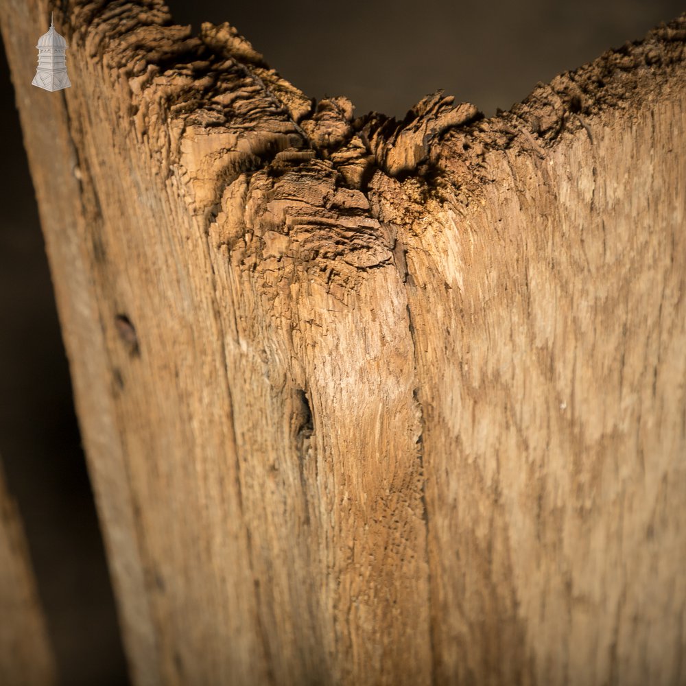 Rustic Oak Stair Treads