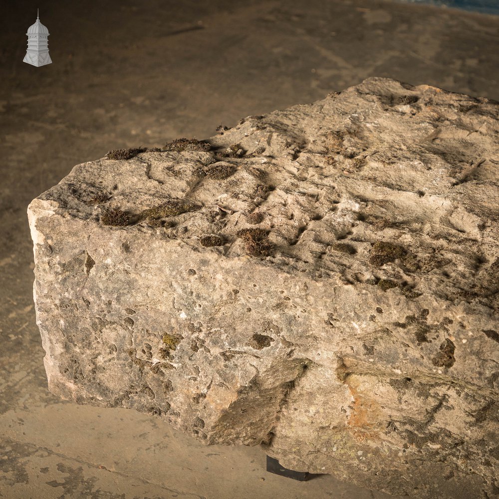 Huge Sandstone Block, 7ft x 2ft