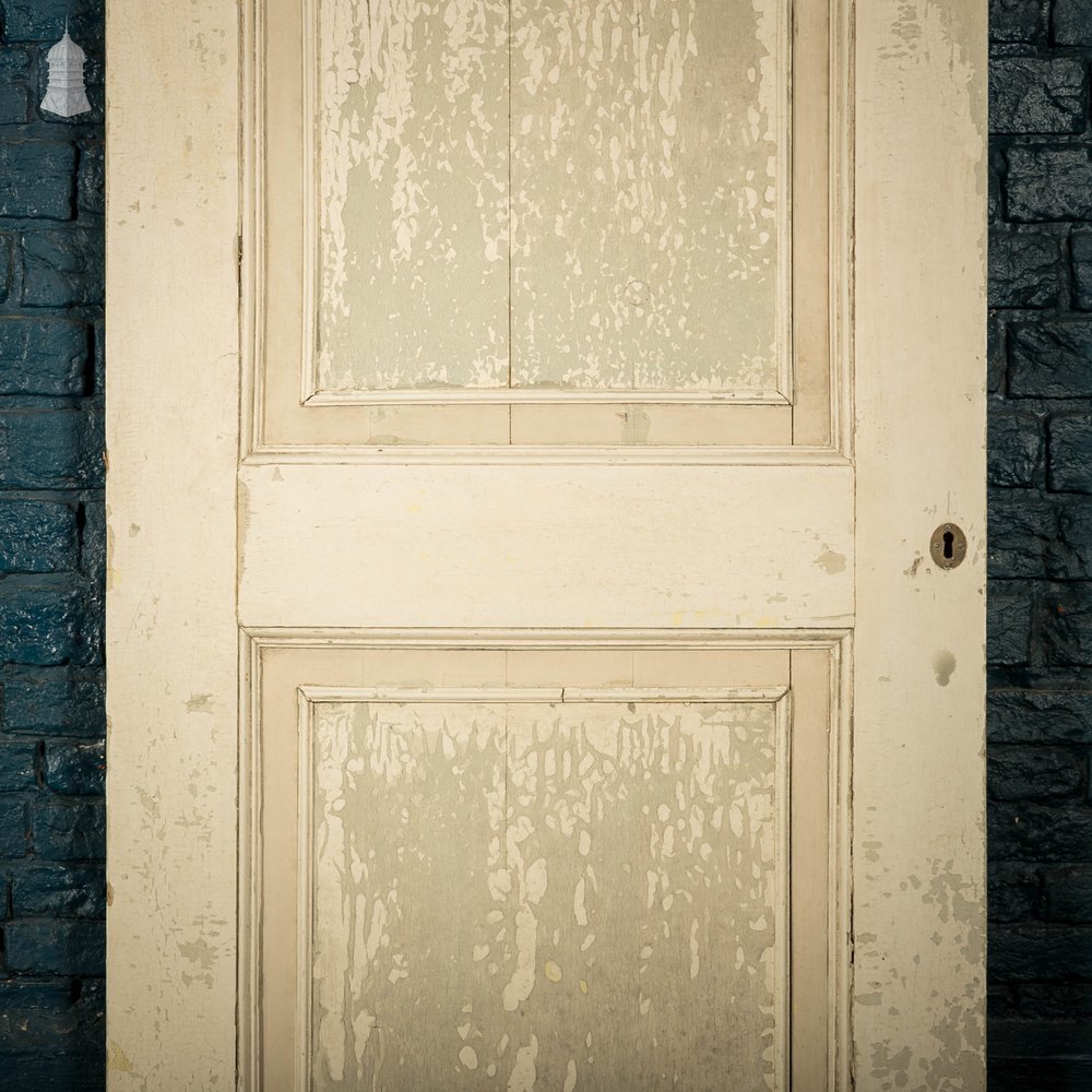 Pine Paneled Door, 3 Panel Pair